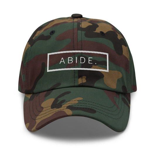 ABIDE Dad hat